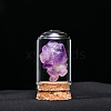 Natural Raw Amethyst Display Decoration G-PW0007-070F-1