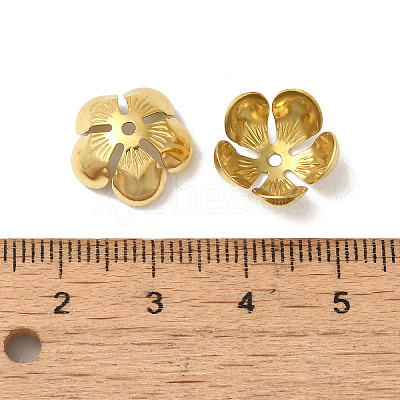 304 Stainless Steel Bead Caps STAS-P363-04B-G-1