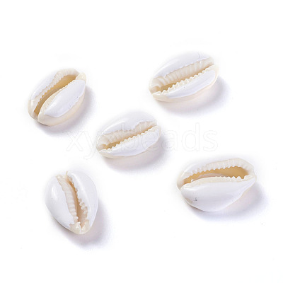 Cowrie Shell Beads BSHE-G019-02F-1