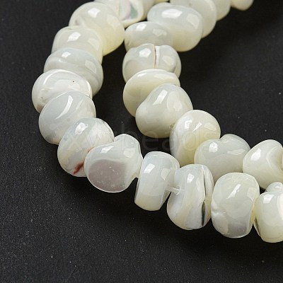 Natural Trochus Shell Beads Strands BSHE-G039-01B-1