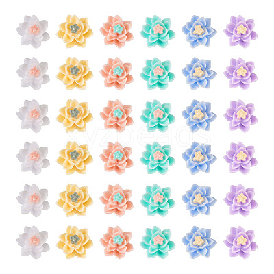 120Pcs 6 Colors Opaque Resin Cabochons CRES-TA0001-28-1