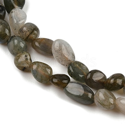 Natural Labradorite Beads Strands G-C250-03-1
