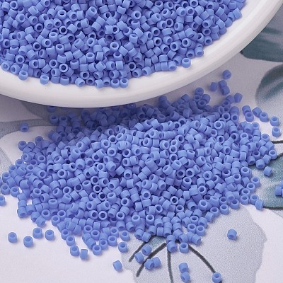 MIYUKI Delica Beads X-SEED-J020-DB0760-1