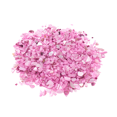 Natural Freshwater Shell Beads LS-X-BSHE-I011-03D-1