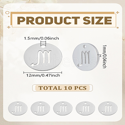 10Pcs 304 Stainless Steel Charms STAS-LP0003-19C-1