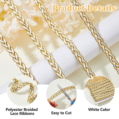 Polyester Braided Lace Ribbons OCOR-WH0105-181B-1