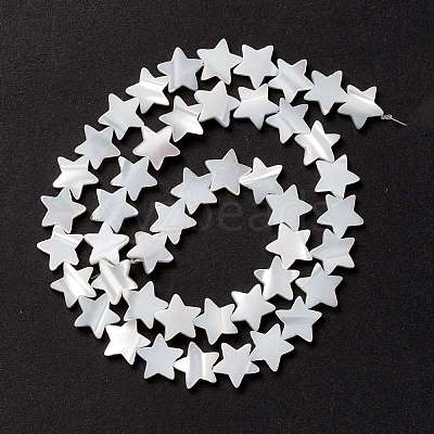 Natural Trochid Shell/Trochus Shell Beads SSHEL-O001-25C-02-1
