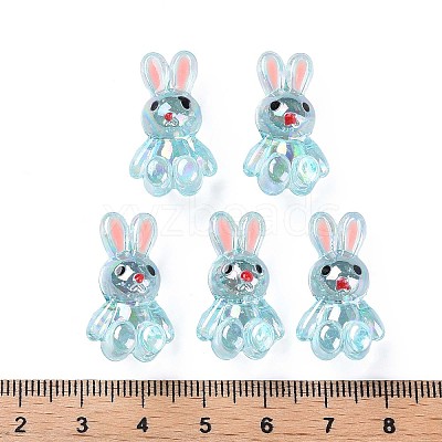 Transparent Acrylic Beads LS-MACR-S373-81-Q03-1
