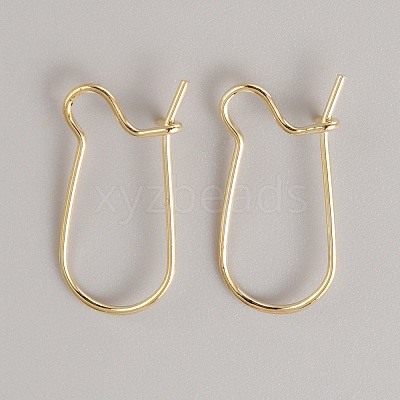 Brass Hoop Earring Findings FIND-WH0110-779A-G-1