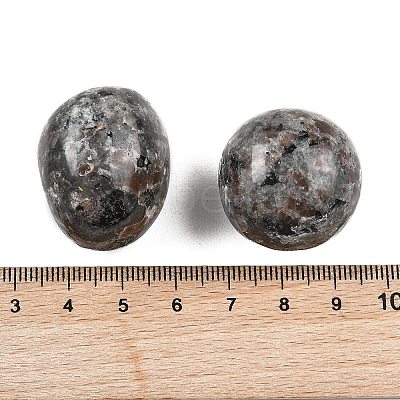 Natural Syenite Beads G-G348-01B-46-1