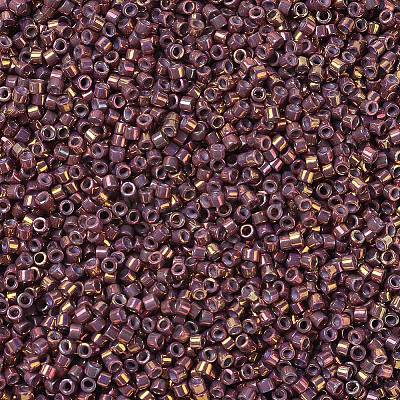 MIYUKI Delica Beads SEED-X0054-DB1013-1