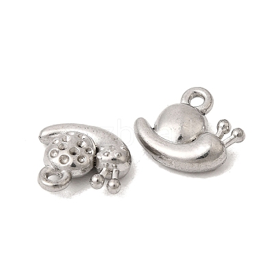 304 Stainless Steel Charms STAS-K255-22P-1