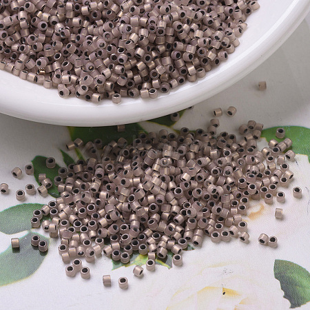 MIYUKI Delica Beads SEED-J020-DB0191-1