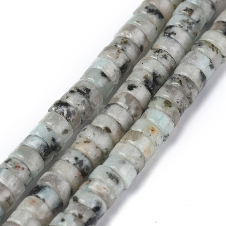 Natural Sesame Jasper/Kiwi Jasper Beads Strands G-Z006-C22-1