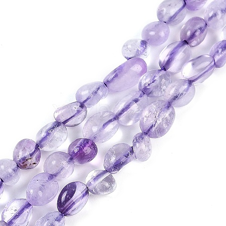 Natural Amethyst Beads Strands G-P497-01B-21-1