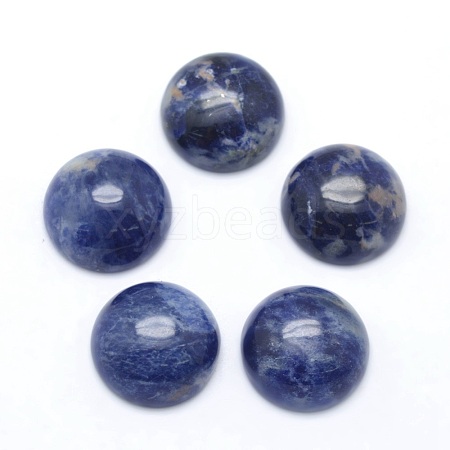 Natural Sodalite Cabochons G-P393-R45-12MM-1