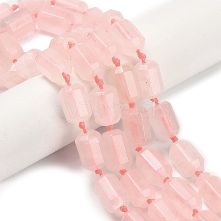 Natural Rose Quartz Beads Strands G-L634-F01-02-1