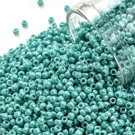 TOHO Round Seed Beads SEED-TR11-0413-1