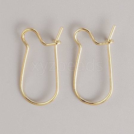 Brass Hoop Earring Findings FIND-WH0110-779A-G-1