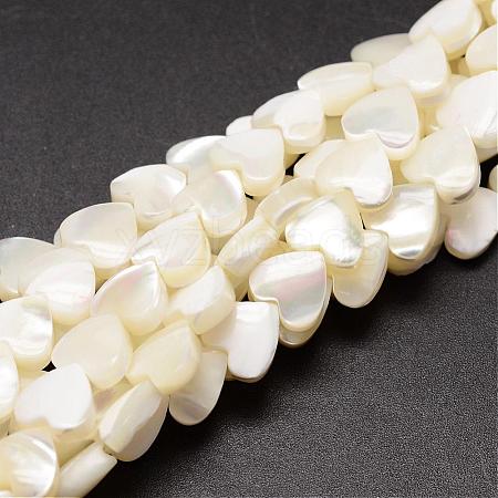 Natural Trochid Shell/Trochus Shell Beads Strands SSHEL-K012-04-1