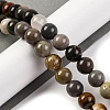 Natural Picture Jasper Beads Strands G-H037-A01-03-2