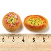 Opaque Resin Imitation Food Decoden Cabochons RESI-G100-01E-3