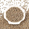 6/0 Glass Seed Beads SEED-A017-4mm-1113-1