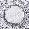 Glass Seed Beads SEED-S042-07A-06-2