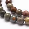 Natural New Ocean Jasper Bead Strands G-G954-01-10mm-3