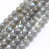 Natural Labradorite Beads Strands G-P336-19-7mm-1