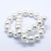 Shell Pearl Beads Strands BSHE-K053-02-14mm-2