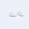 Glass Seed Beads SEED-S060-A-973-6