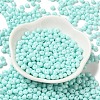 6/0 Opaque Baking Paint Glass Seed Beads SEED-M012-02A-04-2