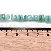 Natural Freshwater Shell Beads SHEL-B003-01B-4