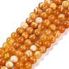 Natural Striped Agate/Banded Agate Beads Strands LS-G-H037-A02-01-2