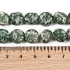 Natural Green Spot Jasper Beads Strands GG-CBA787B-A13-4