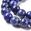 Natural Lapis Lazuli Round Bead Strands X-G-E262-01-10mm-9