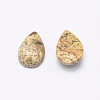 Natural Picture Jasper Cabochons G-P384-N07-2