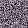 TOHO Round Seed Beads SEED-TR08-0554F-2