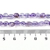 Natural Amethyst Beads Strands G-P497-01B-21-5