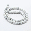 Natural Howlite Beads Strands X-G-F518-22-8mm-2