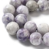 Natural Purple Turquoise Beads Strands G-L595-C04-03-4