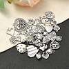 30Pcs 30 Styles Tibetan Style Alloy Pendants FIND-YW0004-62-3