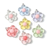 Translucent Resin Pendants X-RESI-P039-01P-1