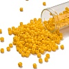 TOHO 6/0 Round Beads X-SEED-TR06-0042B-1