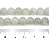 Natural Green Moonstone Beads Strands G-NH0060-A01-01-5