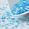 Plastic Candy Sequins/Paillette Chip X-DIY-I019-01M-1