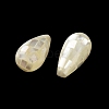 Natural White Shell Beads SSHEL-B002-10B-04-2