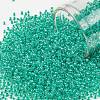 TOHO Round Seed Beads X-SEED-TR11-1832-1