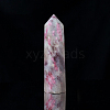 Natural Plum Blossom Tourmaline Pointed Prism Bar Home Display Decoration G-PW0007-101C-1